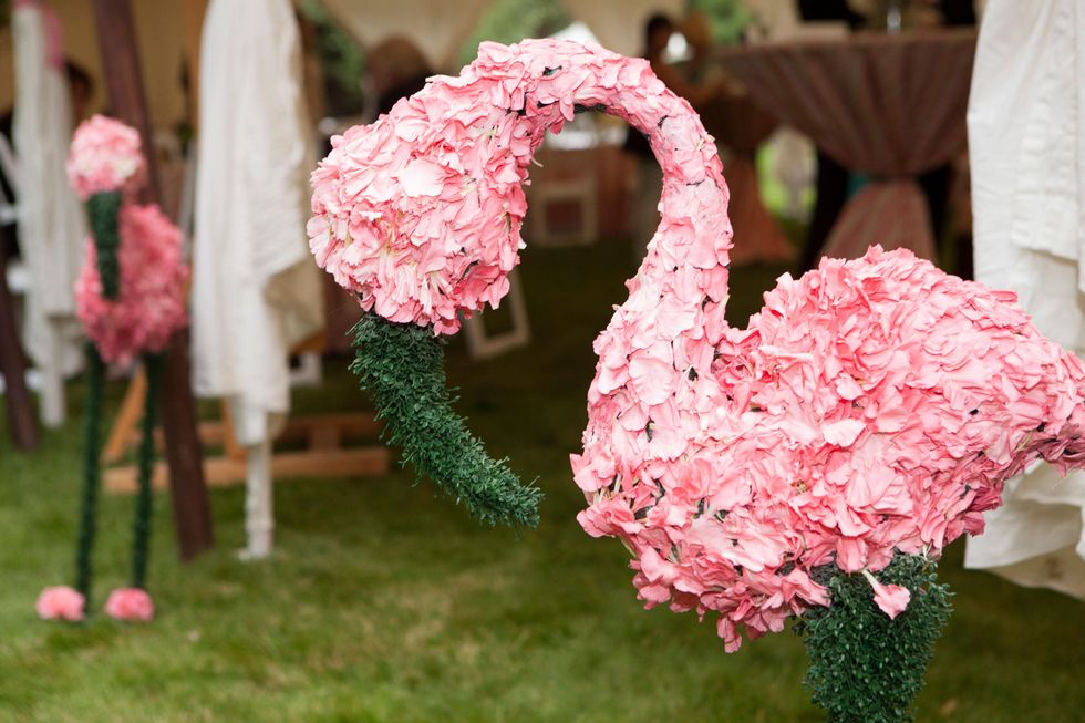 Flamingos at M.D. Anderson in Aspen July 2014