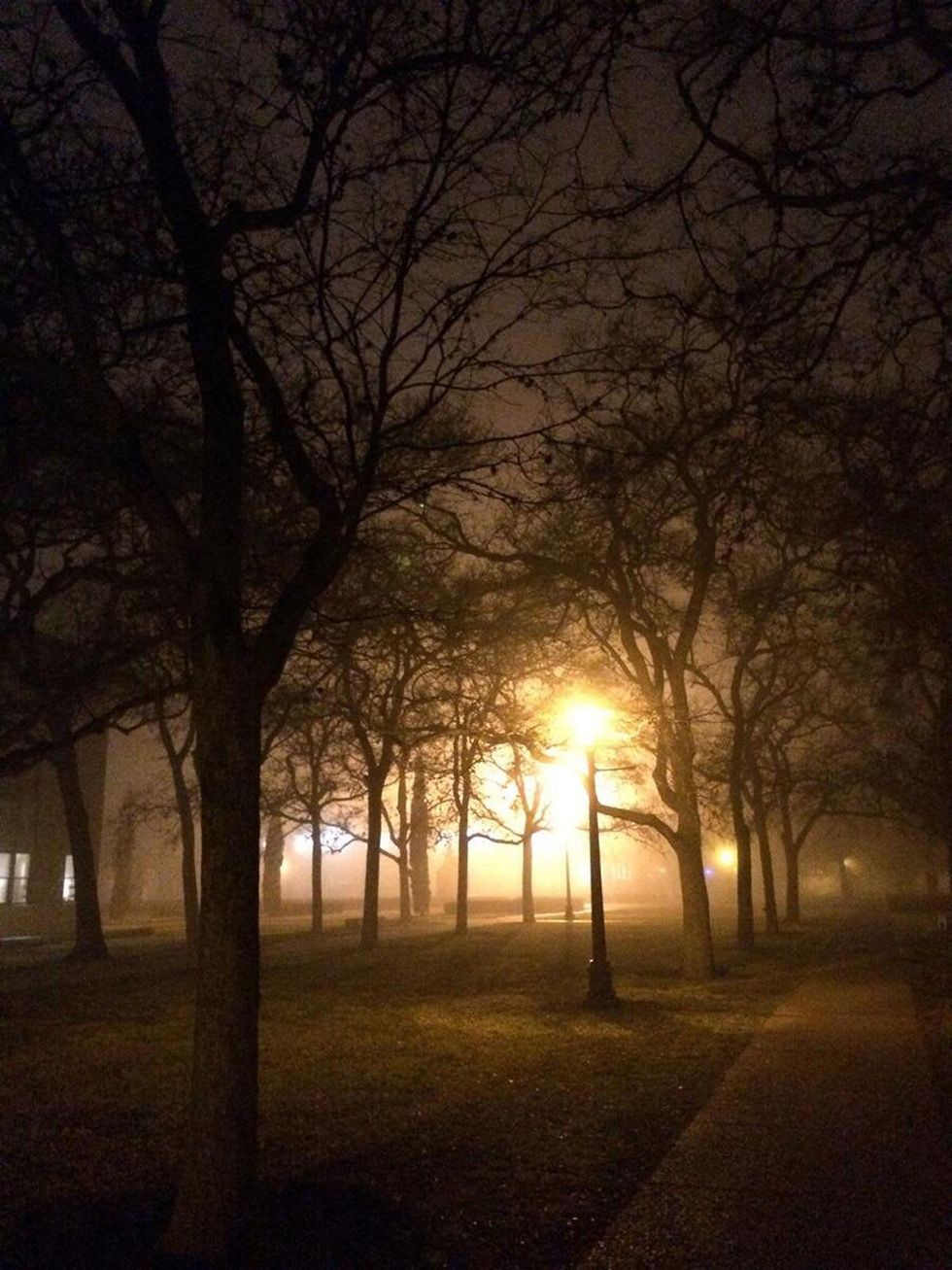 fog in Houston February 2014 Rice University quad