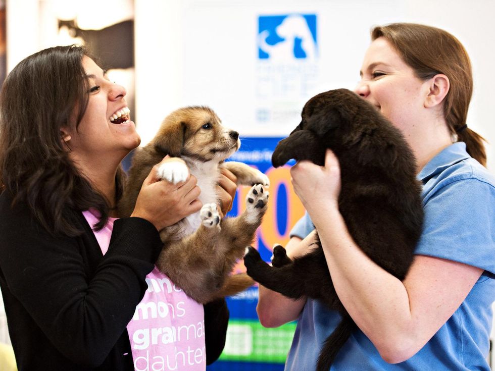 Adoption center puts a green spin on animal rescue Inside the
