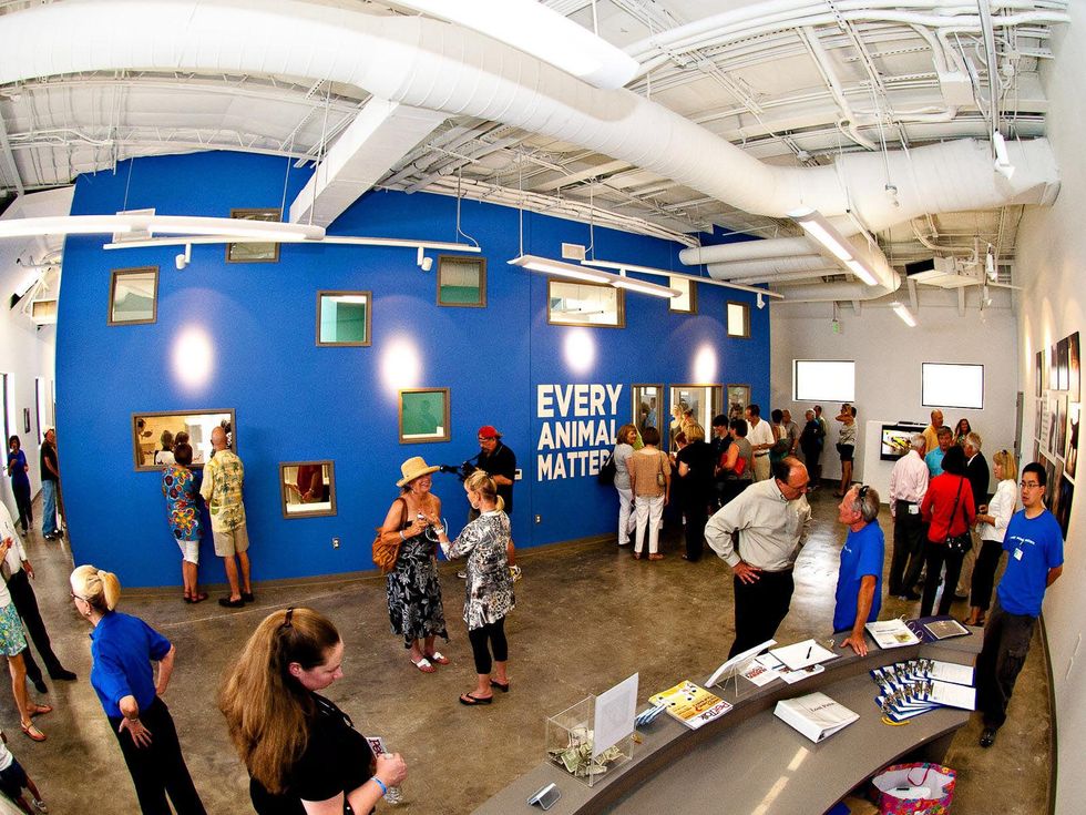 Friends 4 Life, kennel, April 2013, main lobby