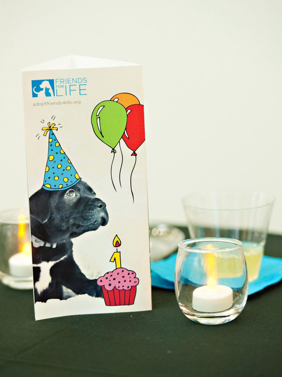 Friends for Life Houston anniversary party June 2013 invitation candle