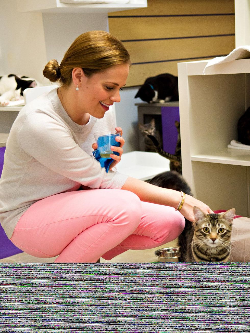 Friends for Life Houston anniversary party June 2013 Mallory Moore