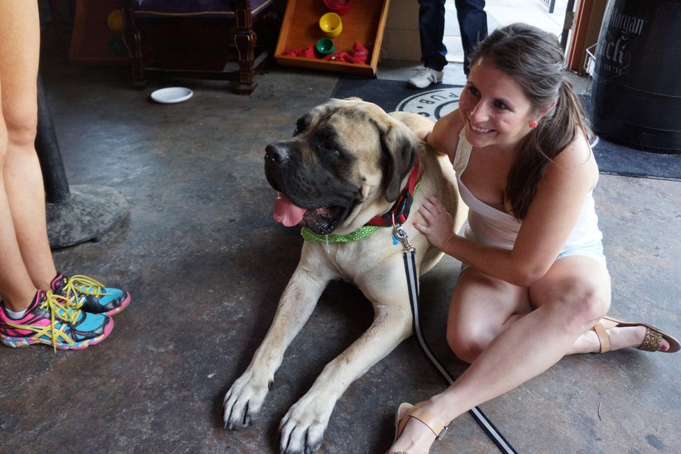 Friends for Life Pints for Pups fundraiser August 2013 Kate Woolsey with George