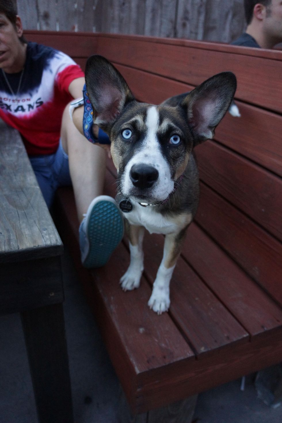 Friends for Life Pints for Pups fundraiser August 2013 Skler