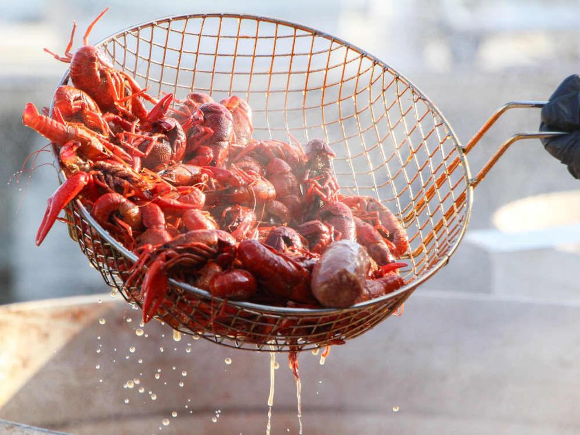 Frisco’s Claws for Paws Crawfish Festival 2018