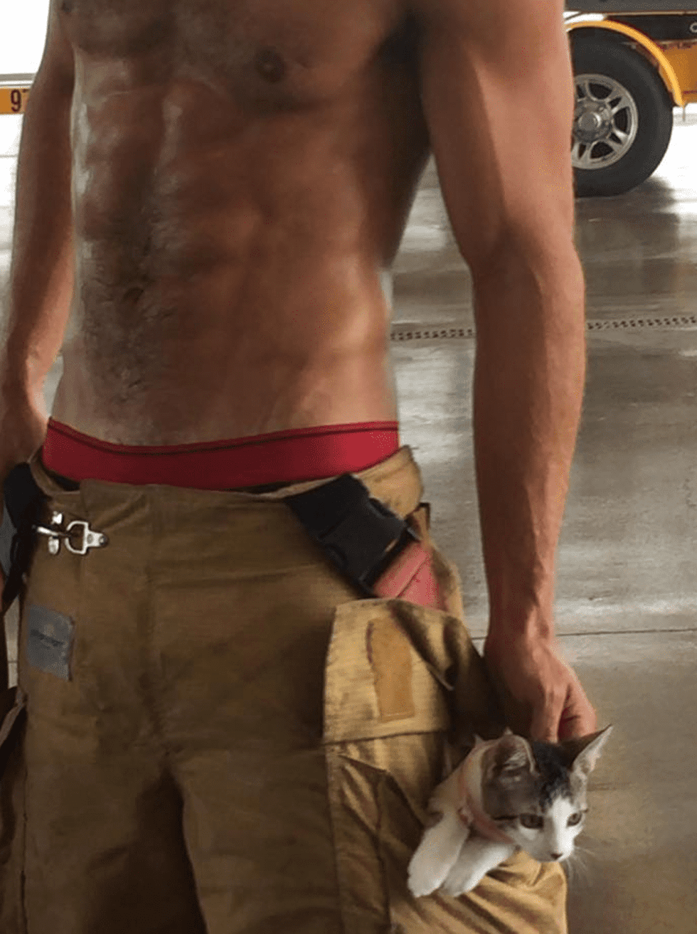 Galveston Firefighters Calendar with adoptable pets