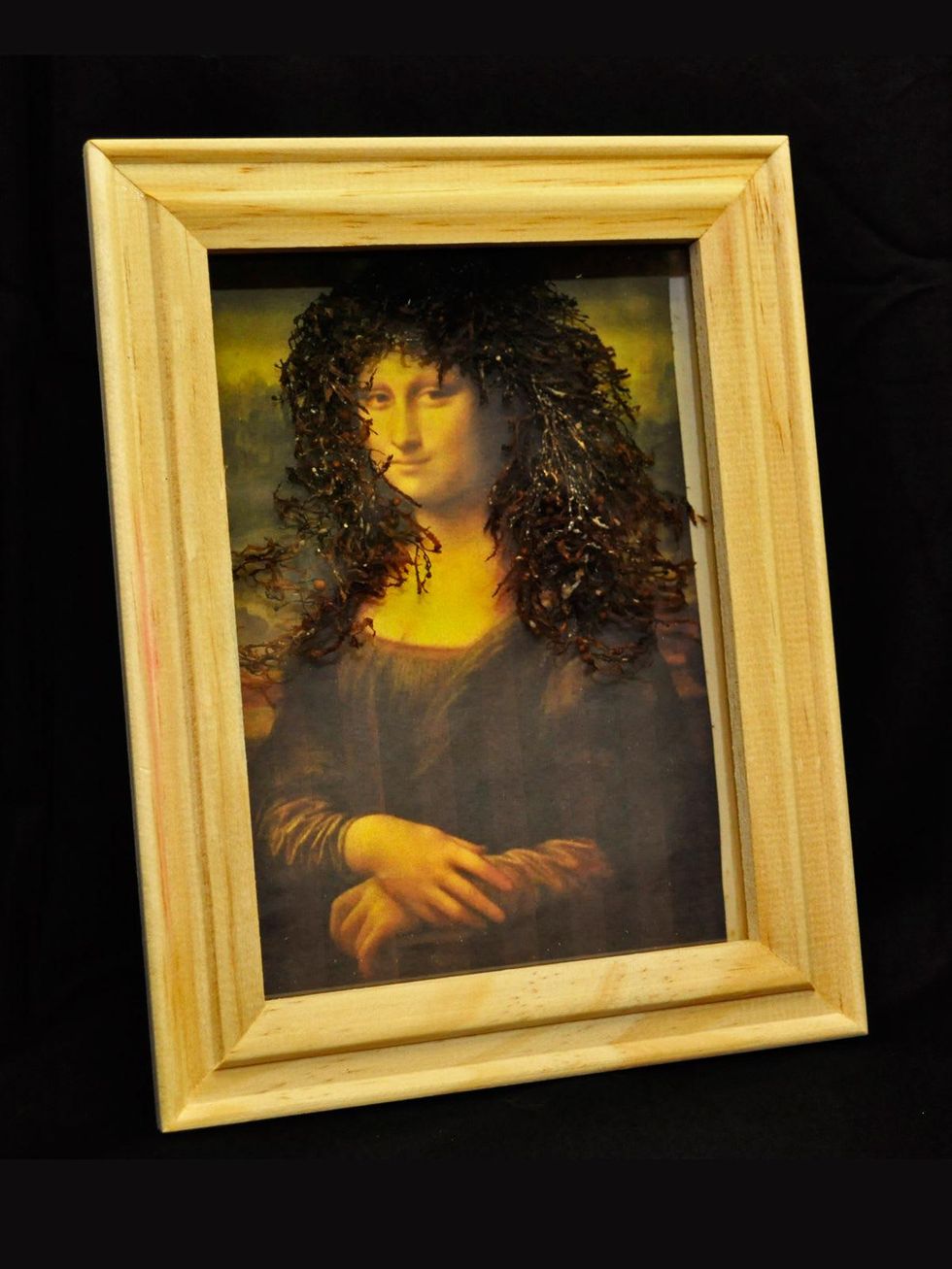 Galveston seaweed art contest August 2013 Third Place Winner 2013_Sandi Smith of Port Bolivar_Mona Liseaweed