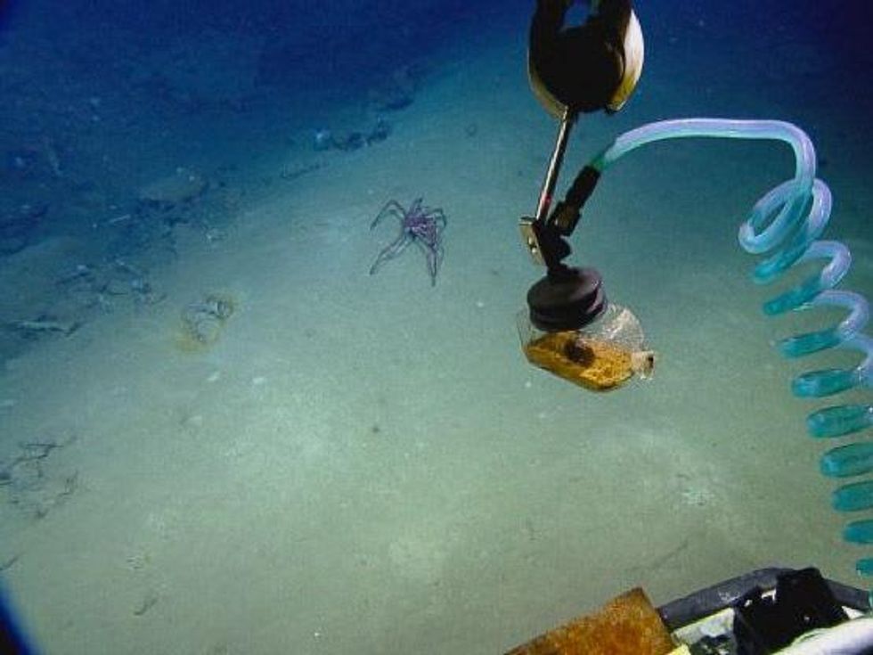 Galveston shipwreck discovery July 2013 case glass retrieval with ginger