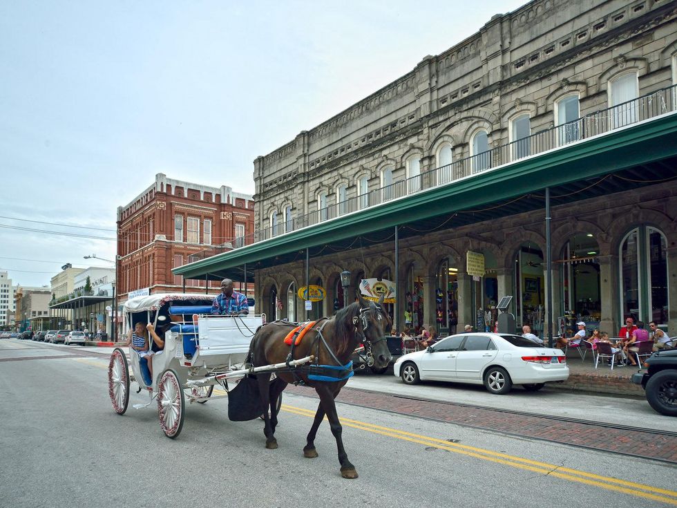 Galveston, The Strand, carriage, horse
