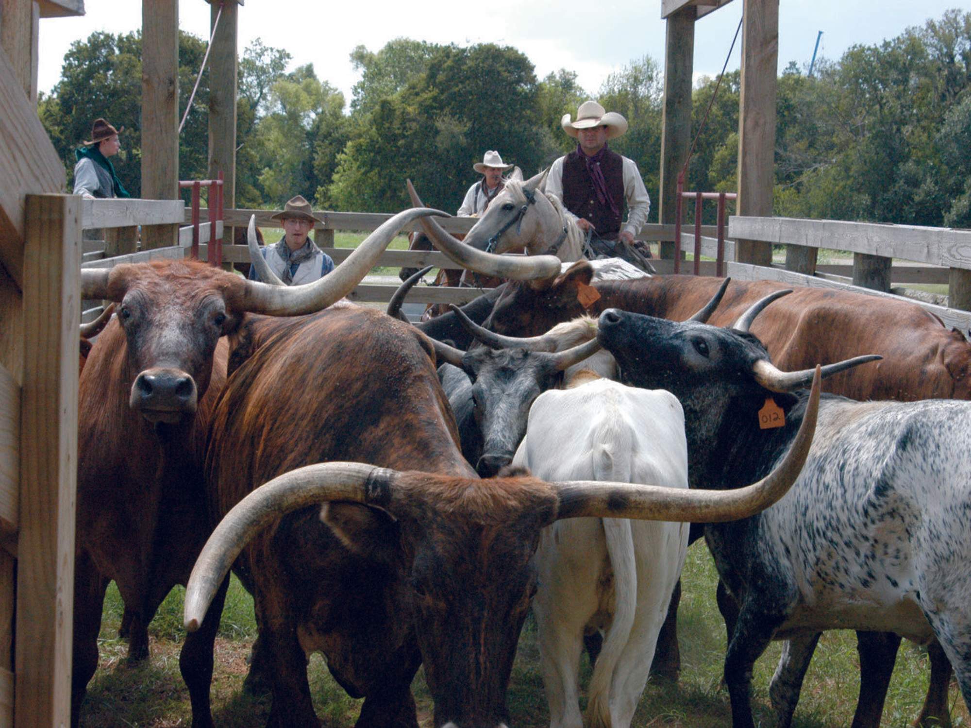Fort Bend nonprofit sells 1,500-acre tract to Houston developer for ...