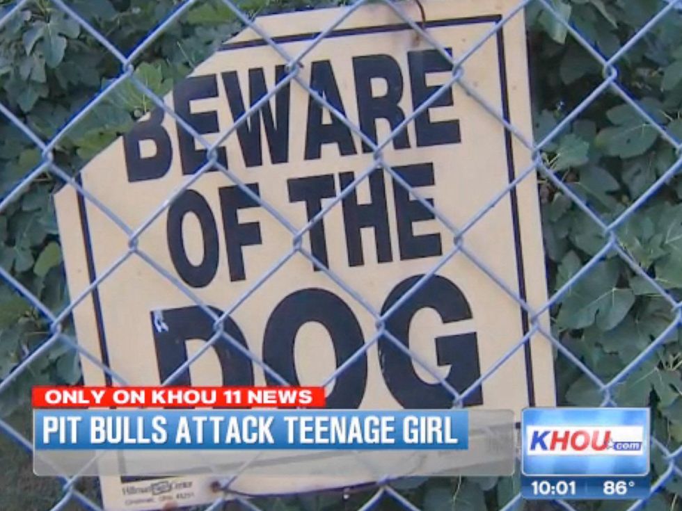 girl attacked by pit bulls July 2013 Beware of the dog sign