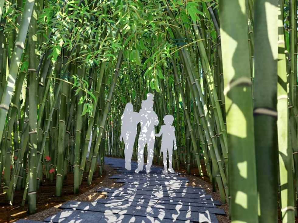 Global Collection Garden Houston Botanic Garden