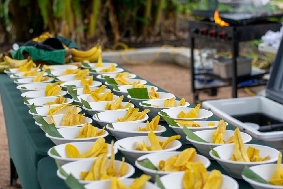 Houston Botanic Garden goes bananas over world's favorite fruit with