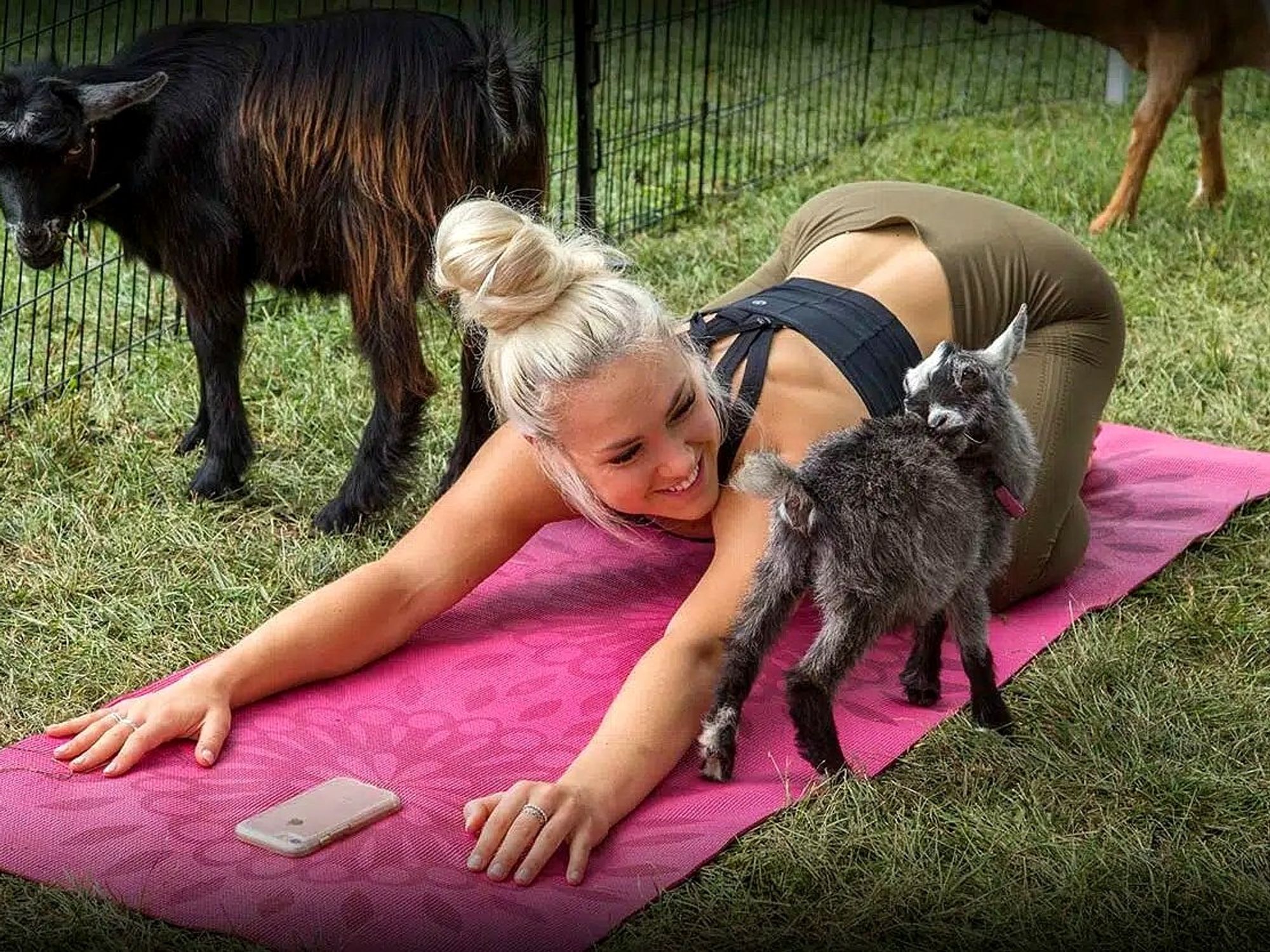goat yoga woman baby goat mat