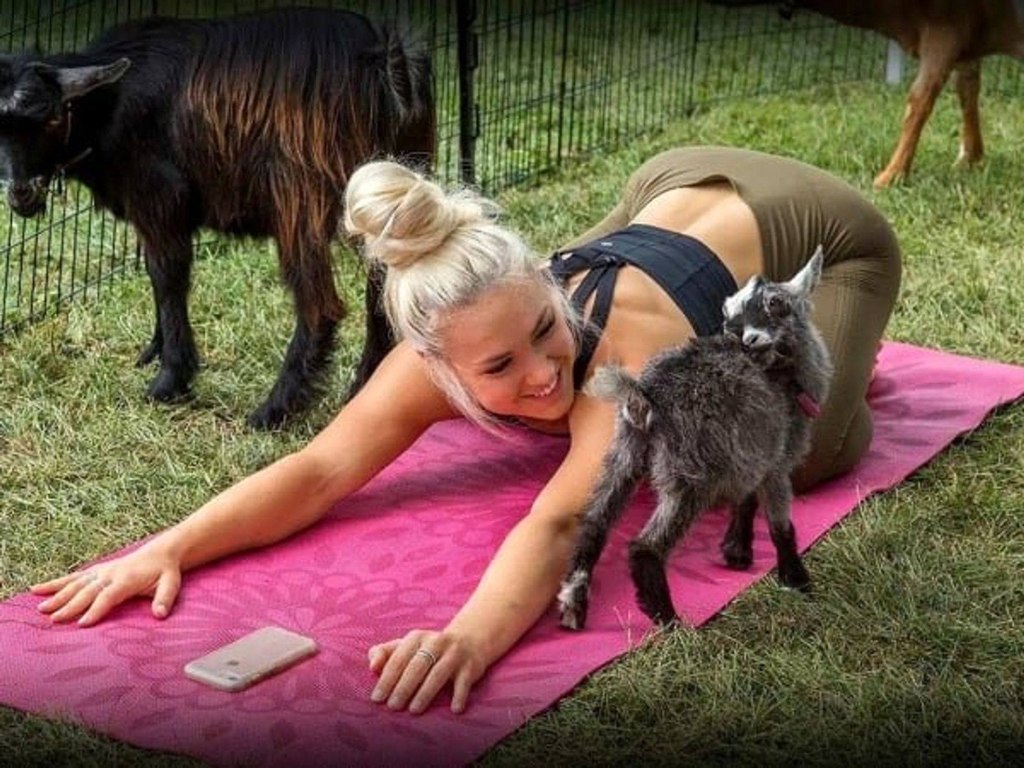 goat yoga woman baby goat mat