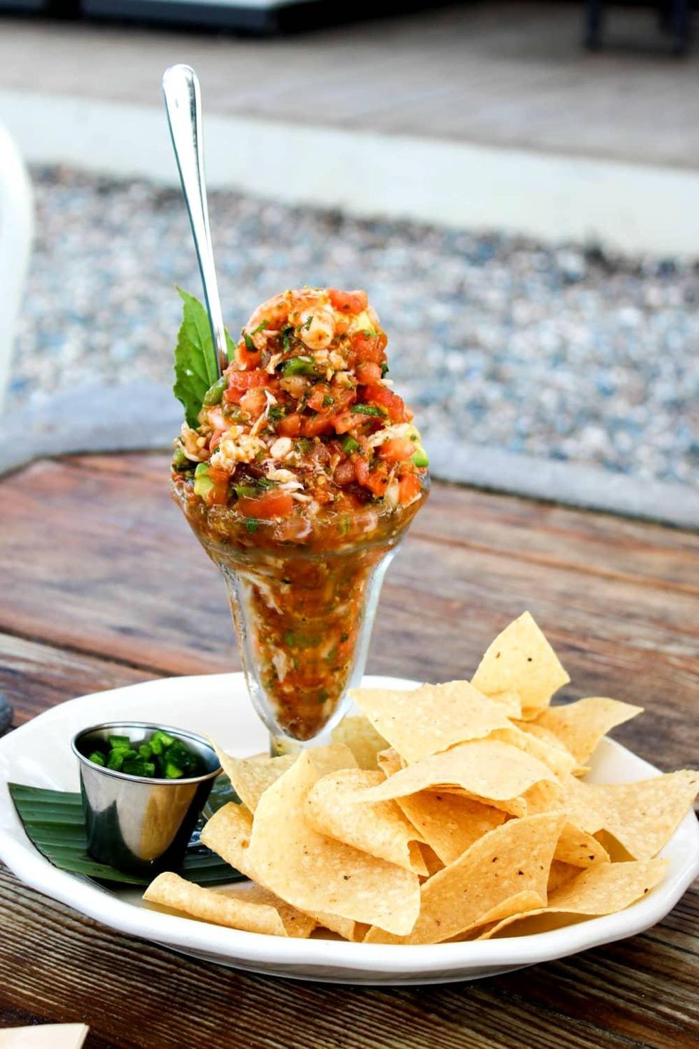 Goode Co Armadillo Palace campechana