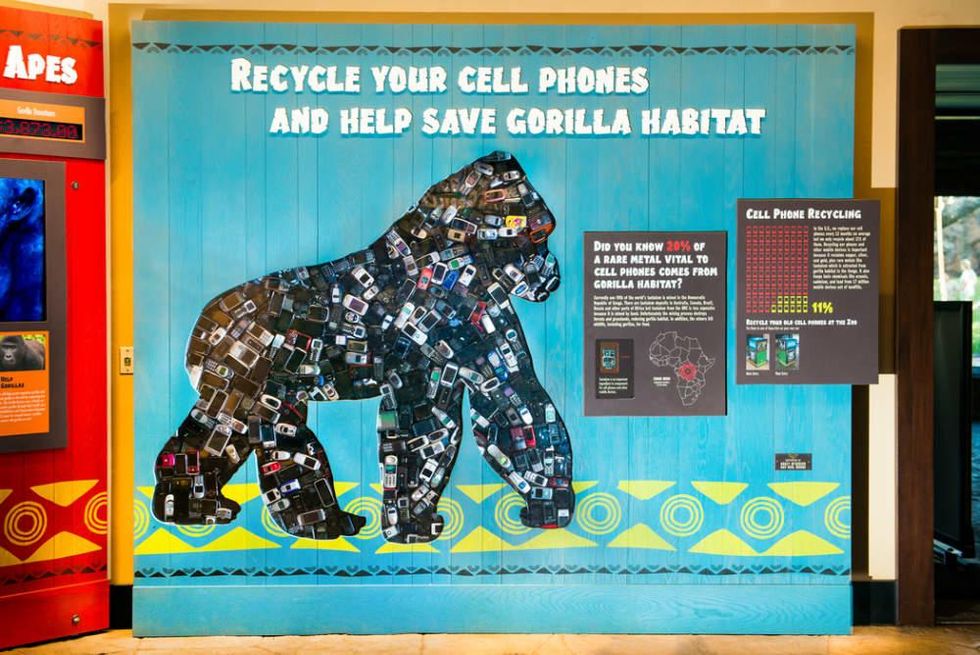 Gorillas and cell phones exhibit