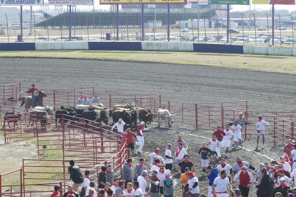 Great Bull Run 05