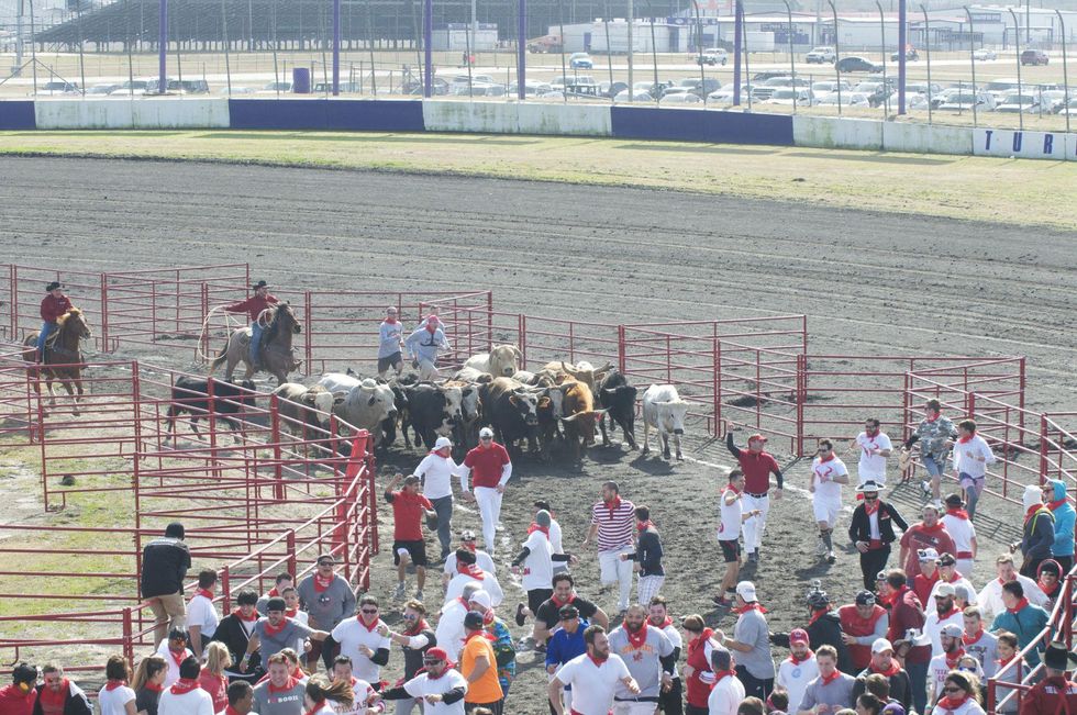 Great Bull Run 06
