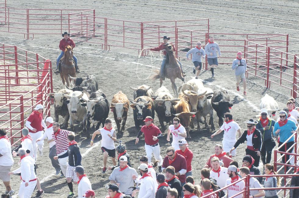 Great Bull Run 07