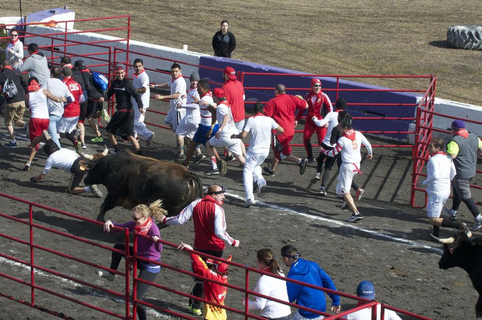 Great Bull Run 10