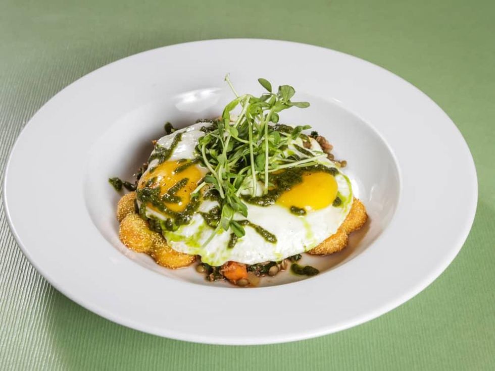 Green Eggs and Kale 2016 Canopy