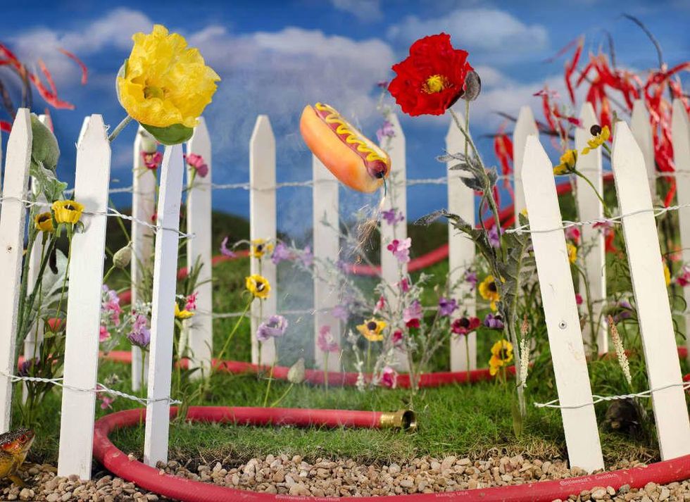 Happy by Carlo Zinzi