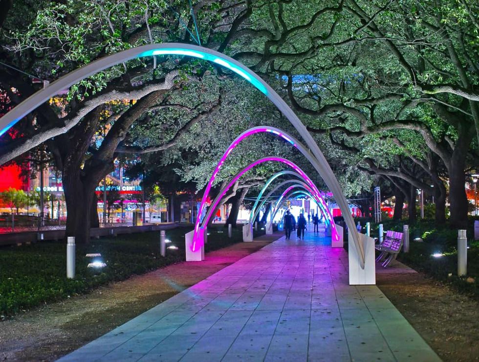 Hello Trees at Discovery Green