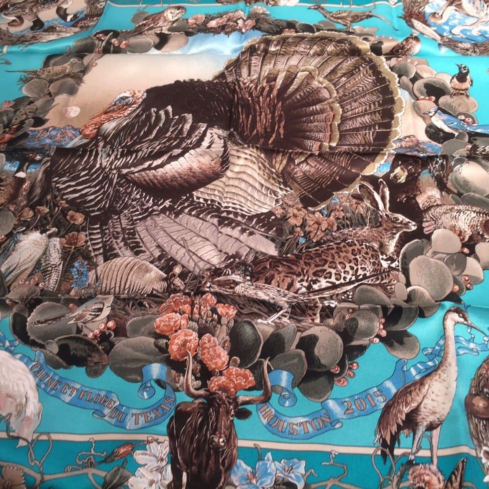 Hermes Kermit Oliver scarf