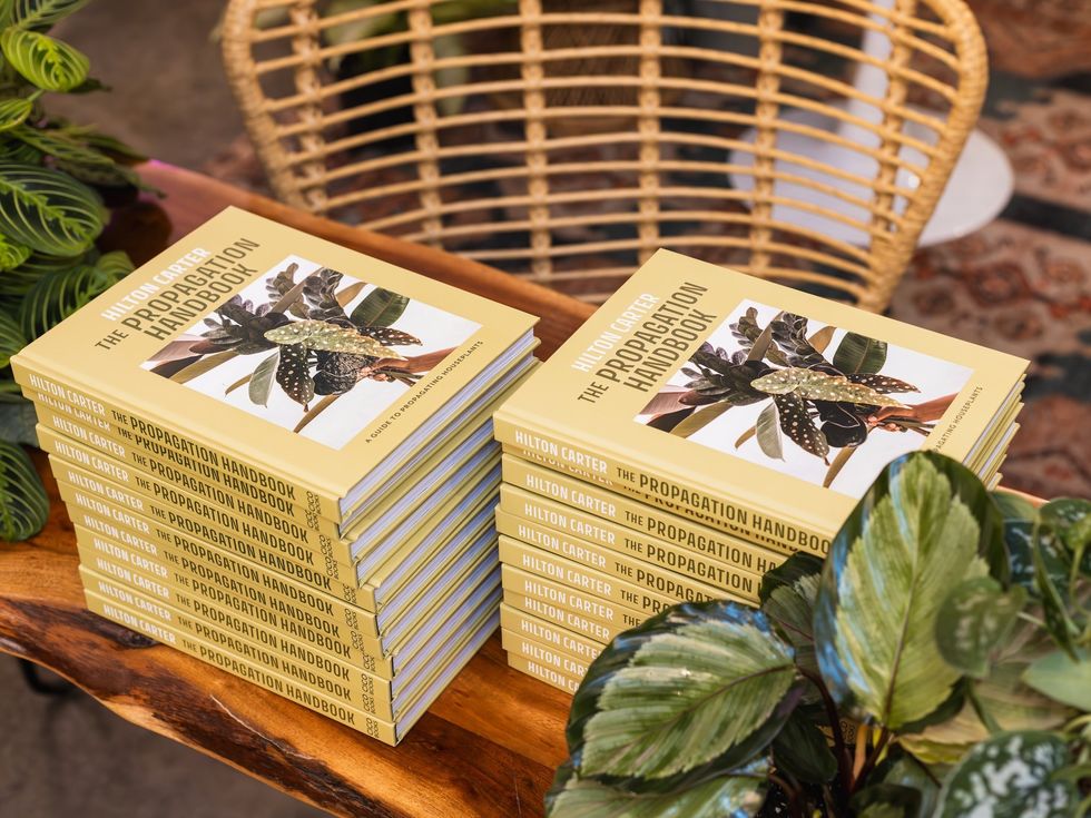 Hilton Carter The Plant Project