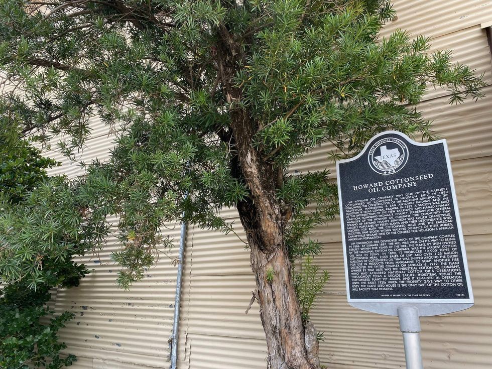 Historic Houston Salvage Warehouse