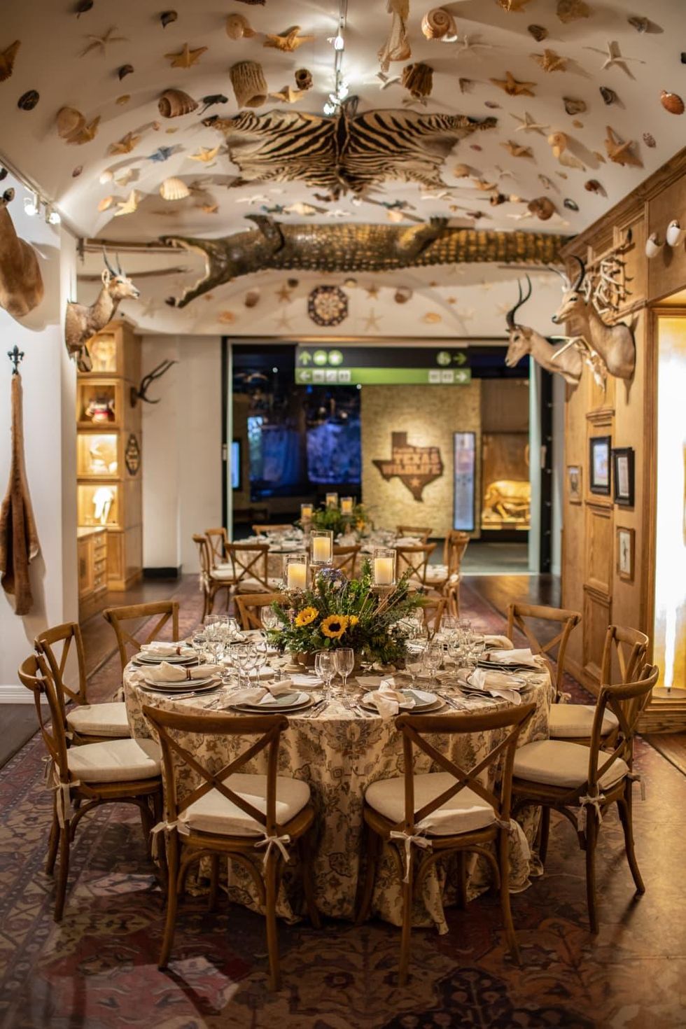 HMNS Great Outdoors Gala 2022 Cabinet of Curiosities