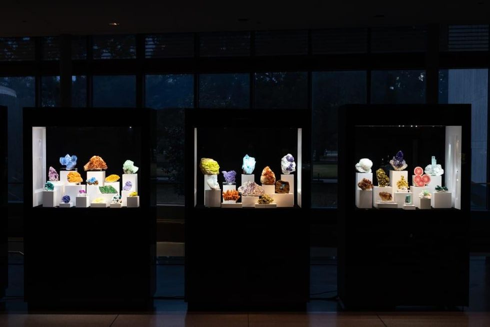 HMNS Great Outdoors Gala 2022 President's Picks silent auction items