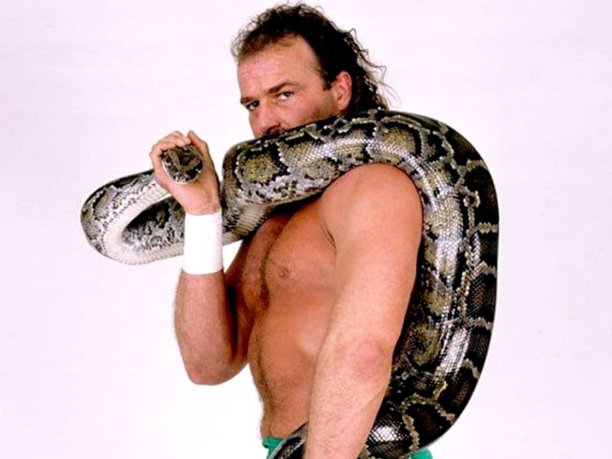 Hoffman - Jake the Snake