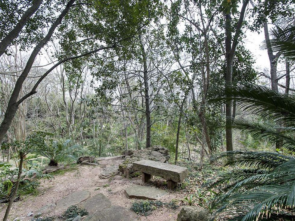 Hogg Bird Sanctuary bench at 1 Crestwood Drive