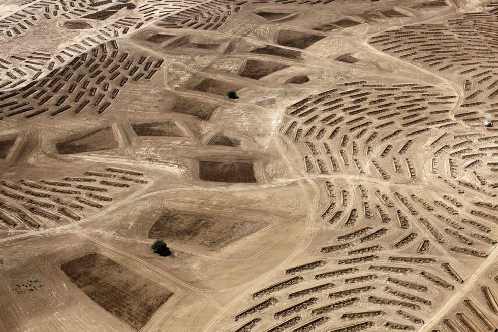 Homelands and Histories: Photographs by Fazal Sheikh-Latitude 31\u00b021\u20197\u201dN