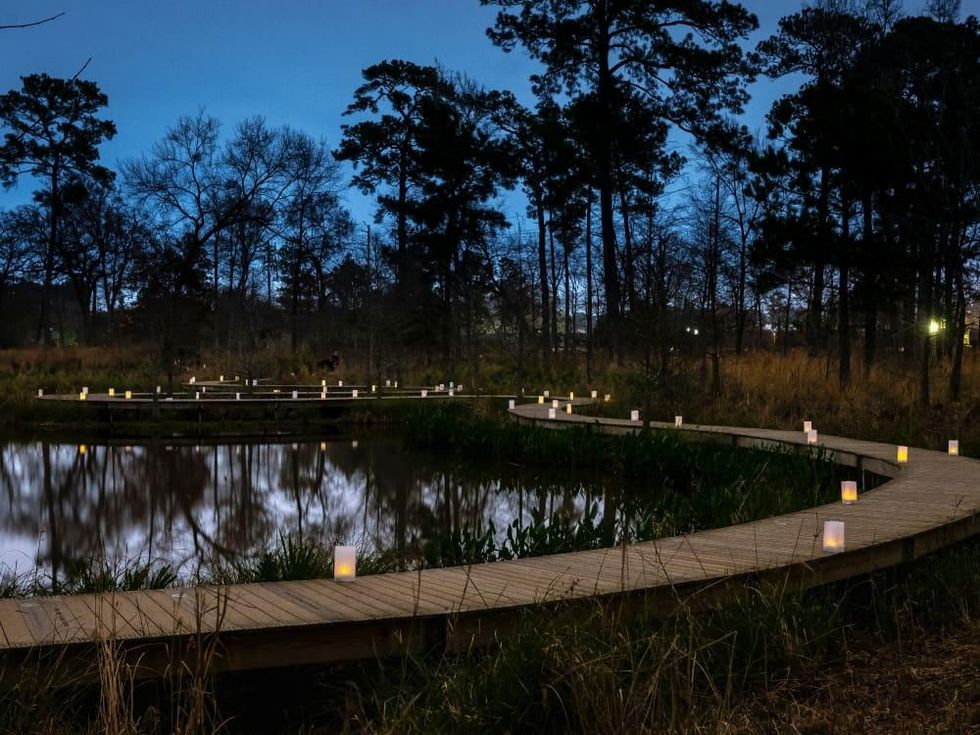 Houston Arboretum boardwalk