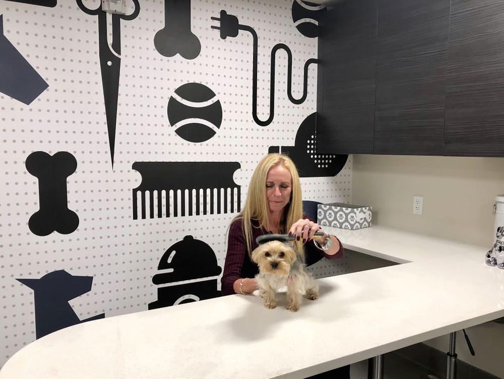 Houston, Aris Market Square, December 2017, Pet parlor