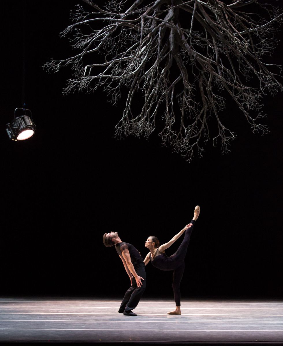 Houston Ballet Wings of Wax