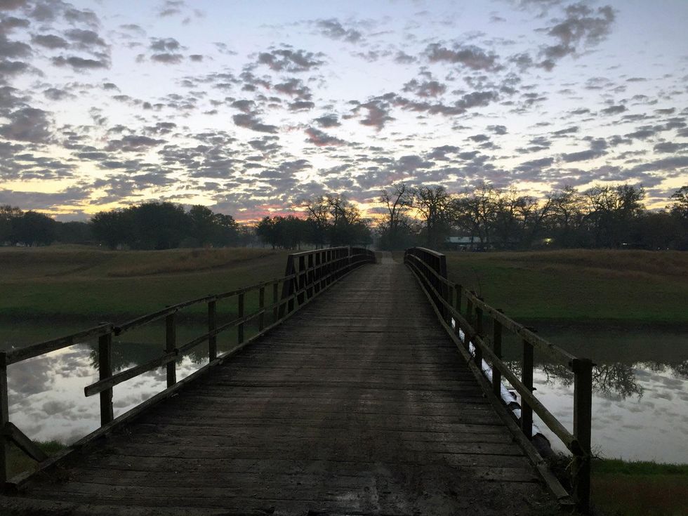 Houston Botanic Garden future home Glenbrook April 2015
