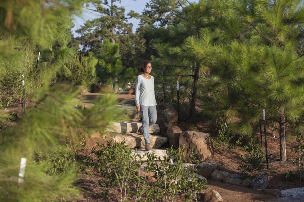 Houston Botanic Garden opening 2020