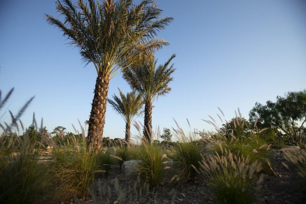 Houston Botanic Garden opening 2020