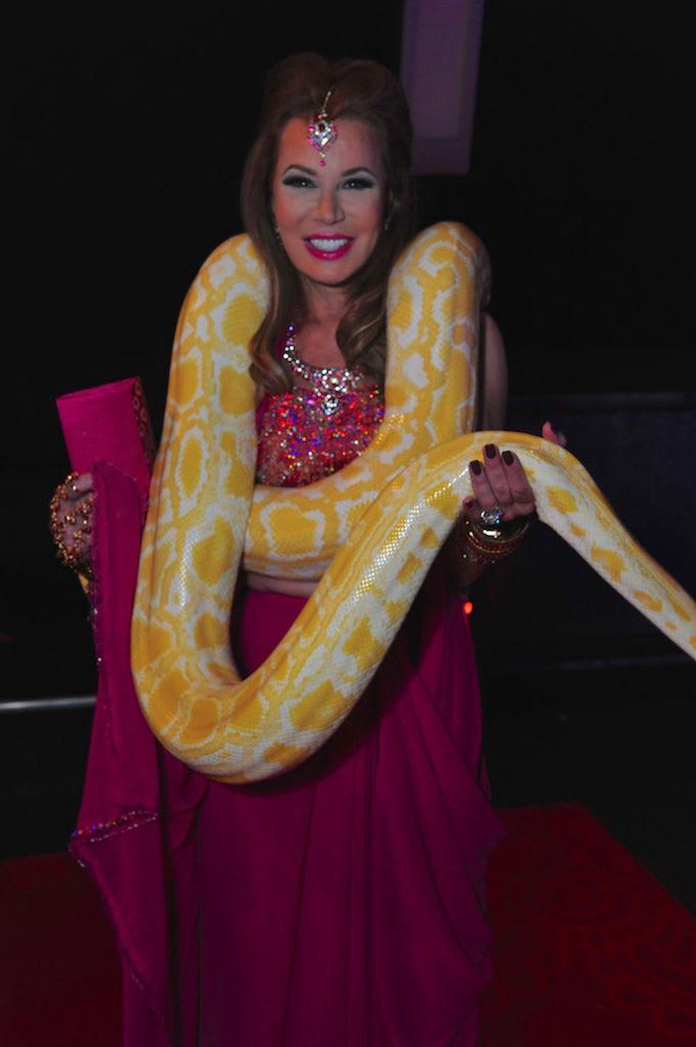 Houston, Bravo Sex Trafficking Fundraiser, June 2015, Cindi Rose