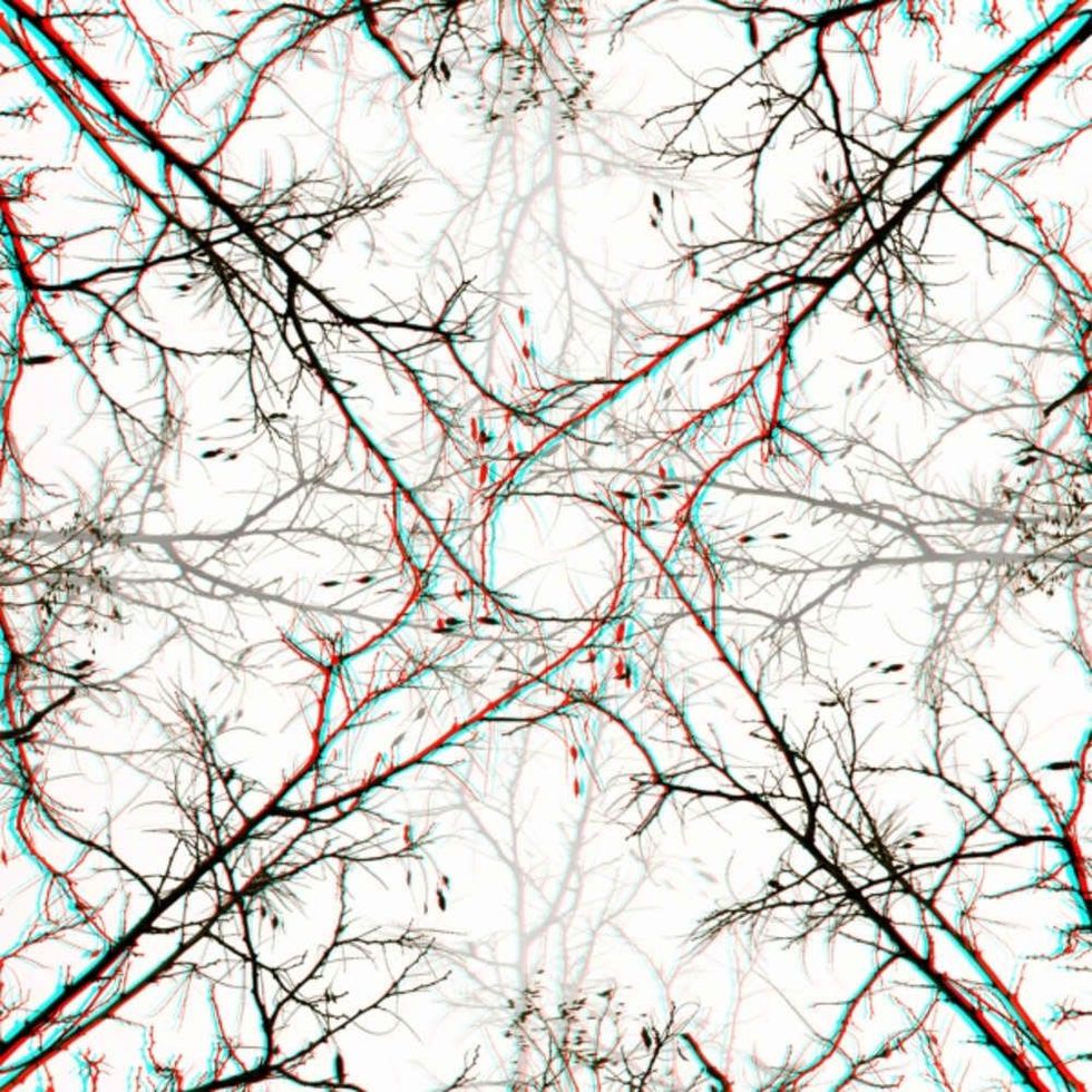 Houston Center for Photography presents Ryan Bush: Visions