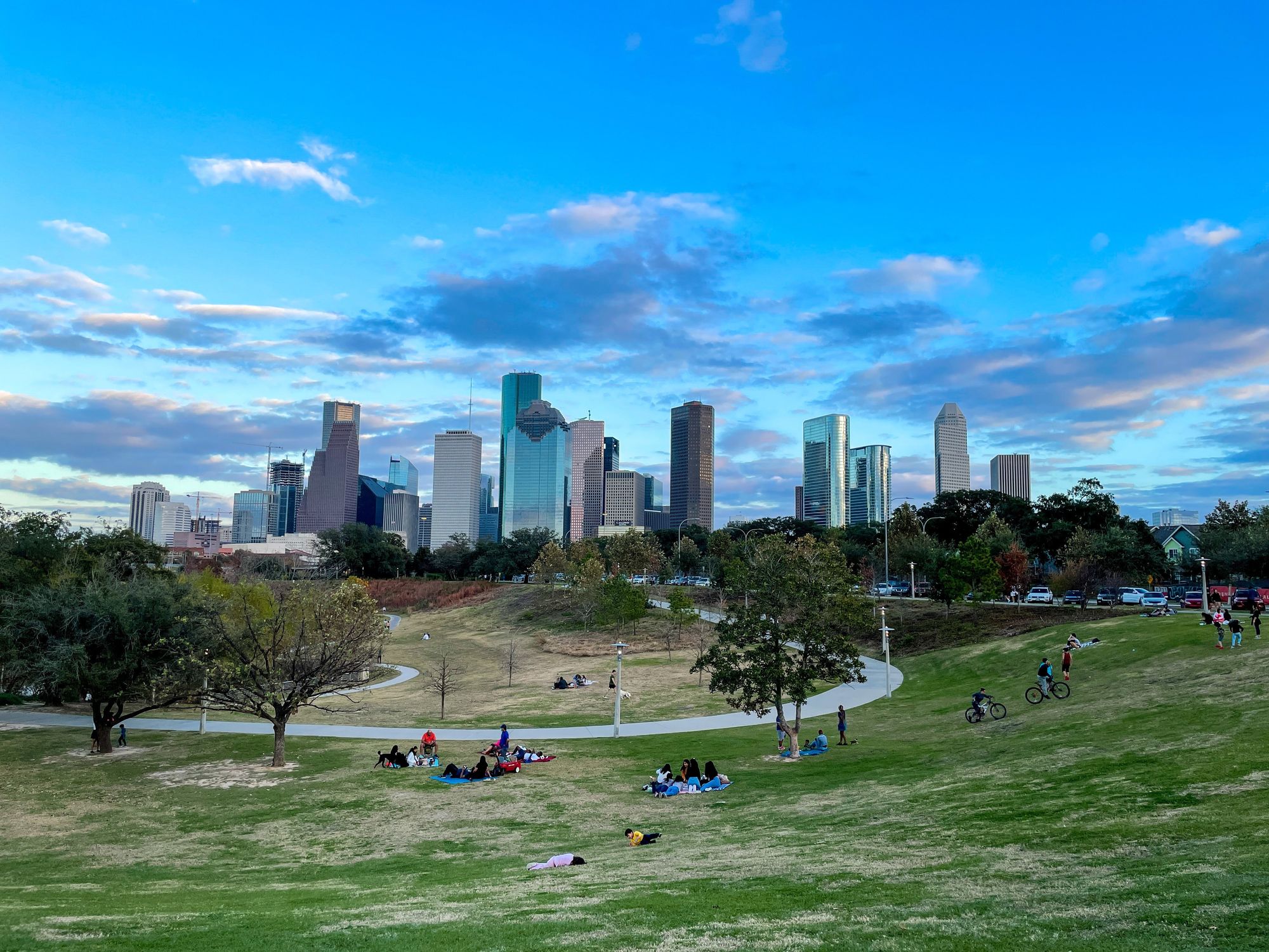 Houston downtown skyline park