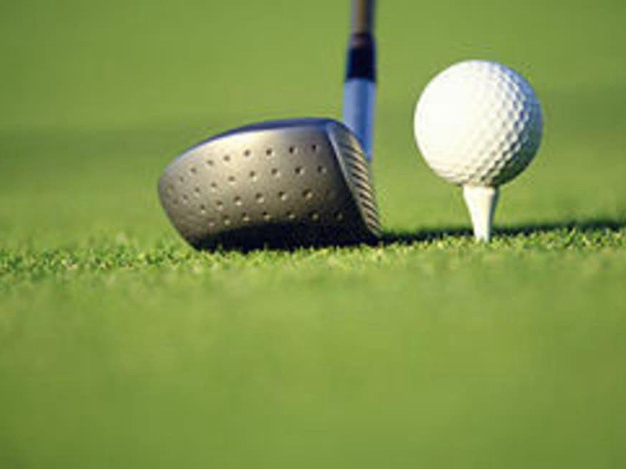 Houston Family Arts Center's Third Annual Golf Tournament