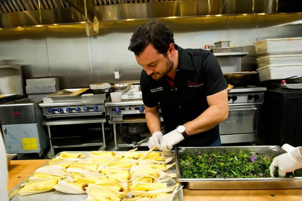 Houston, Friends for Life Among Friends gala, October 2015, David Cordua