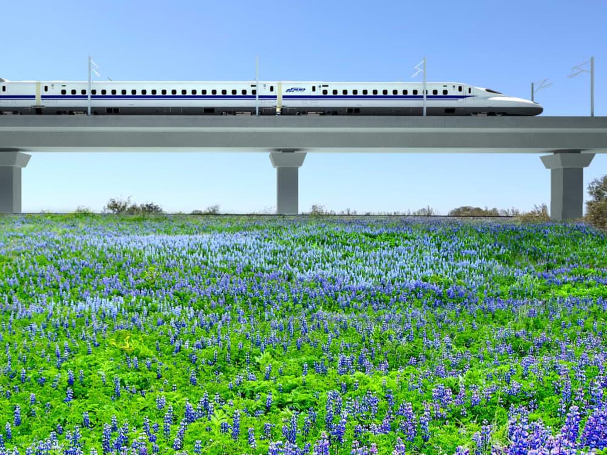 Houston high speed train rendering bluebonnets