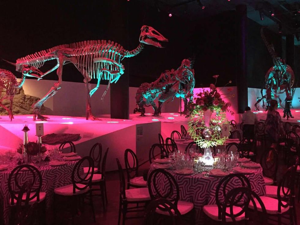 Houston, HMNS Big Bang Ball, March 2017, Morian Hall of Paleontology at HMNS