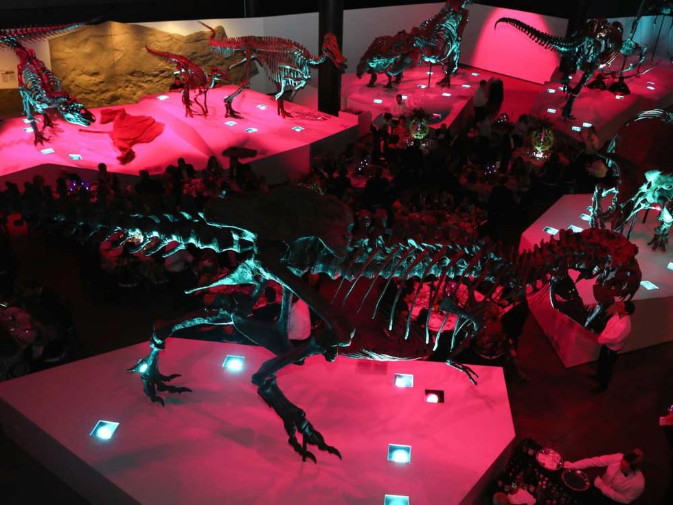 Houston, HMNS Big Bang Ball, March 2017, Morian Hall of Paleontology at HMNS